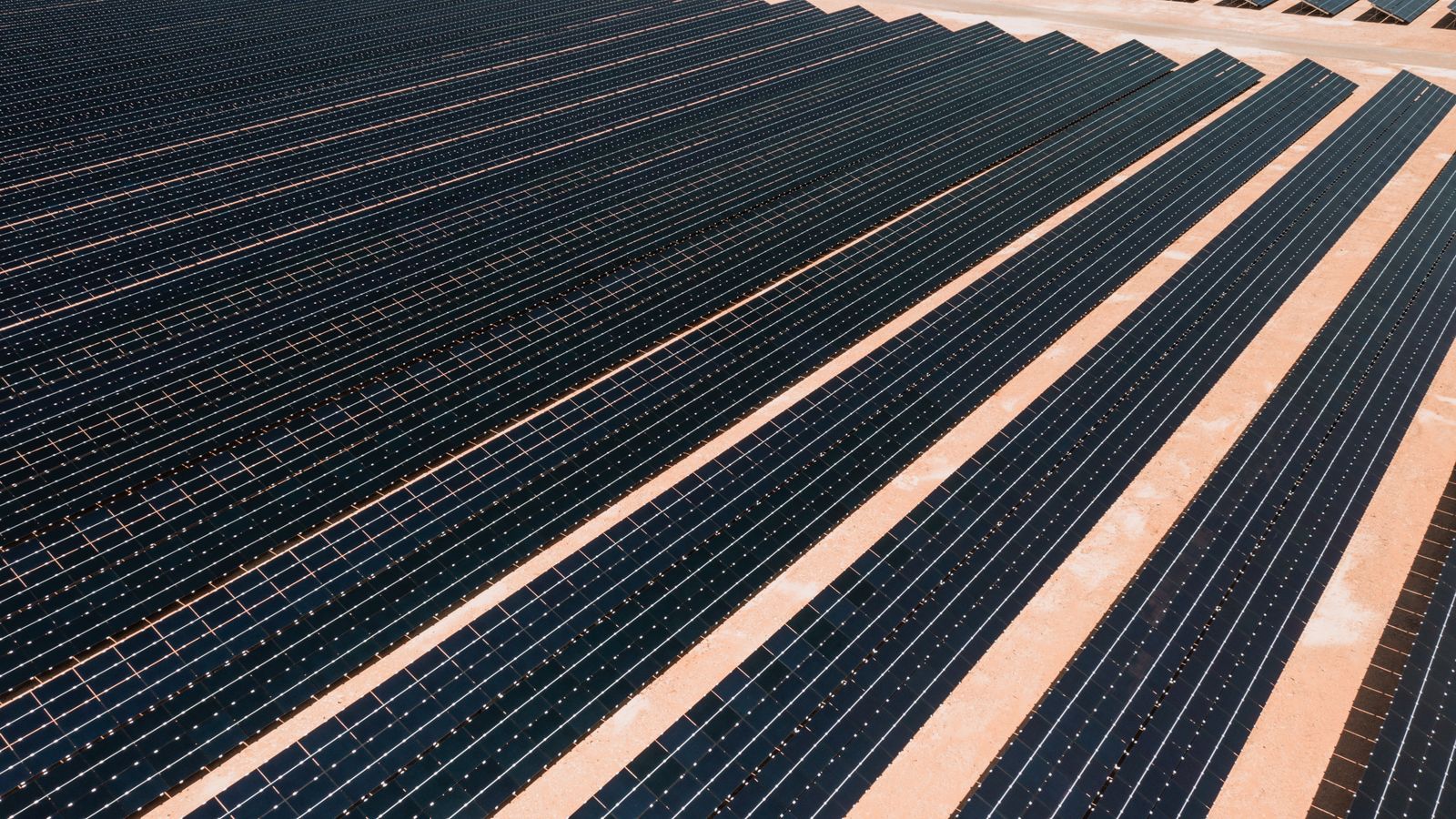 Solarmodul-Arten im Vergleich: Mono, Poly, Glas-Glas, bifazial
