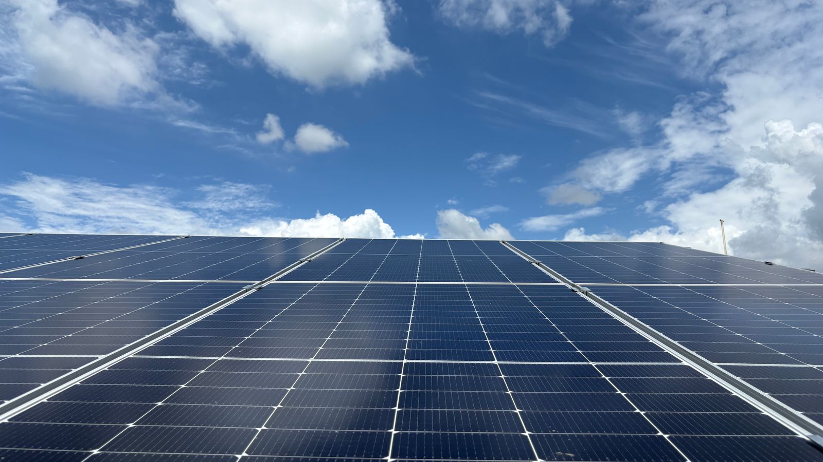 Solarmodule unter blauem Himmel