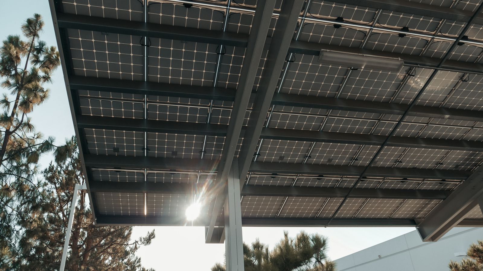 Aufgeständerte Solarmodule von unten gesehen