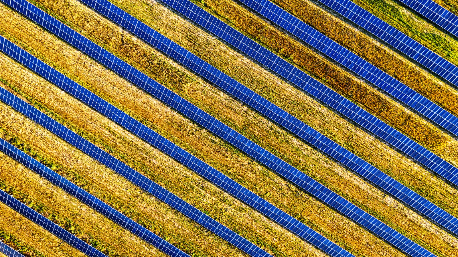 Lange Reihen von Solarmodulen aus der Luft